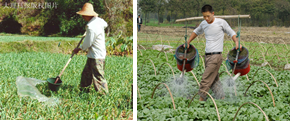 鍥剧墖1.png 鍥剧墖1.png