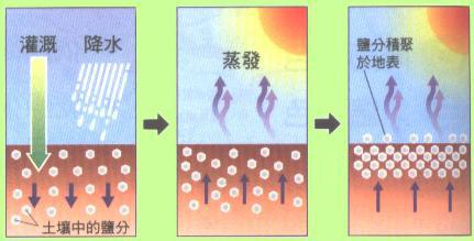 鍥剧墖3.jpg 鍥剧墖3.jpg
