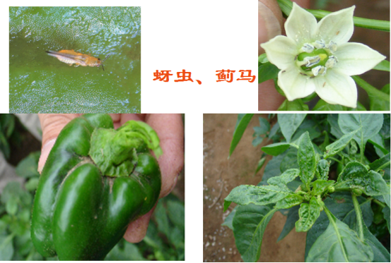 鍥剧墖8.png 鍥剧墖8.png