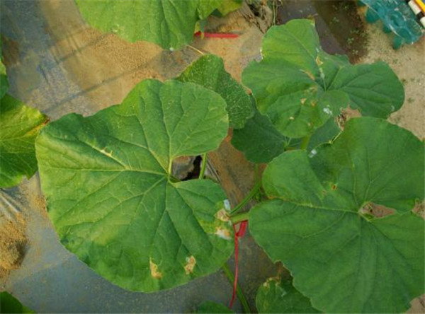 鍥剧墖6.jpg 鍥剧墖6.jpg